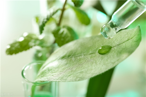 植物提取物